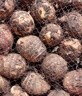 中鲜生云南牛奶小芋头 现挖毛芋头芋艿香芋 软糯香甜新鲜蔬菜 5斤【品质严选】 实拍图