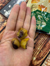 百草味熟制板栗仁500g/10小包 坚果炒货休闲零食坚果板栗子仁即食 实拍图