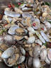 海鲜世家去冰净重鲍鱼仔1斤 60-72粒 家庭聚餐小海鲜煲粥火锅食材 实拍图
