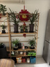 木马人多层简易书架落地层架置物架储物柜子收纳架展示柜书房书柜办公架 【整体纯竹】原色-六层90长 实拍图