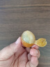 山姆伯伯广东鸡心黄皮果【顺丰闪送】茂名黄皮新鲜水果礼盒 3斤【巨划算 | 20%选择】净2.1斤 7A级精选果丨保温箱+冰袋 实拍图