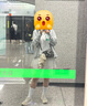安踏|袜子|【4双装】透气运动袜子男女跑步篮球袜短中长筒袜 实拍图