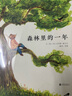 森林里的一年 充满诗意的森林童话 精美的互动翻翻书 自然启蒙绘本3-6岁（启发出品） 实拍图