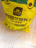 史丹利大号陶粒垫底养花专用花盆铺面多肉花卉种花陶土颗粒园艺陶粒土5L 实拍图