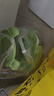 创得 耐热玻璃保鲜盒 微波炉烤箱饭盒上班族便当盒 圆650+长700ml+包 实拍图