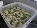 盛源来 芥末章鱼200g 即食海鲜日料 小八爪鱼腿足爪须脚 寿司方便菜 实拍图