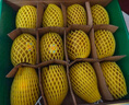 佳沛（zespri）新西兰 新果季 阳光金奇异果33粒原箱单果重约101-114g 猕猴桃 实拍图