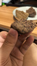 华田禾邦全麦杂粮馒头 800g*2袋 16个 手工无糖五谷杂粮包 速食面点 早餐 实拍图