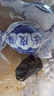 启发香港陈皮梅化核应子袋装 纸包加应子蜜饯果脯手信特产孕妇零食 化核陈皮梅x1袋 实拍图