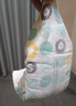 好奇（Huggies）心钻装小森林纸尿裤S62片(4-8kg)新生儿小号尿不湿夏季超薄 实拍图