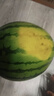 京鲜生 麒麟西瓜 1粒净重7-8斤 生鲜水果源头直发包邮 实拍图