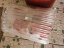 惜林园食用莲藕苗种根池田大型蔬菜荷花苗粉脆藕种根苗菜瓜 脆藕苗10棵【新藕苗】 裸根不带土 实拍图