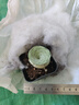 忆润蝶水蜜桃玫瑰多肉植物小球酒杯群生山地玫瑰绿植办公室内肉肉盆栽 水蜜桃玫瑰5-6cm【塑料盆栽好】 晒单实拍图