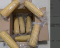 京鲜生东北白糯玉米250g*10棒 新鲜甜糯玉米棒真空包装粘玉米 源头直发 实拍图