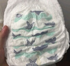碧芭宝贝盛夏光年拉拉裤XXL28片(15kg以上)学步裤 夏季超薄 透气不闷热 实拍图