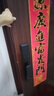德力西电气（DELIXI ELECTRIC）智能锁全自动指纹锁智能门锁电子锁密码猫眼人脸指静脉国家补贴D6 【D6Q指纹款】临时密码 【全国免费上门】专业终生维护 实拍图