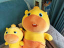 威尔通（WELTSTON）毛绒玩具布娃娃卡皮巴拉玩偶抱枕生日礼物女 表情包水豚噜噜公仔 实拍图