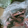 波力海苔脆片儿童休闲零食即食紫菜芝麻夹心脆罐装144克（约72包） 实拍图
