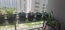 长万家花架置物架阳台铁艺悬挂栏杆花架多肉收纳花盆摆放绿萝装饰架 圆角100*20*12cm 实拍图