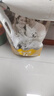 艾尔（Aier）狗粮 牛油果 泰迪金毛星期六犬粮   全价全期通用粮 牛油果美毛幼犬粮5kg10斤 实拍图