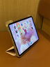 GOMI适用iPad11保护壳A16芯片带笔槽Air5/4/air6透明苹果pro保护套磁吸11英寸亚克力Y折10代防摔2024 【一体款】淡雅粉【钢化膜+贴纸+触屏笔】 iPad 第11/10代（1 实拍图