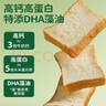 七小七巧克力鲜奶黄油厚切吐司面包350g 0添加宝宝零食代餐 源头直发 实拍图