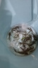 sobo松宝 鱼缸氧气泵 水族箱增氧泵 养鱼氧气泵  水族用品 双孔12W 【贈全套配件】 实拍图
