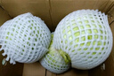 京鲜生 云南新鲜包菜 净重5斤 卷心菜 甘蓝 新鲜蔬菜 源头直发 实拍图