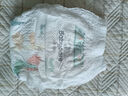 babycare Air pro拉拉裤成长裤XL30+2片(12-17kg) 婴儿尿不湿夏日超薄透气 实拍图