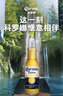 科罗娜特级啤酒500ml*18听啤酒整箱装  实拍图