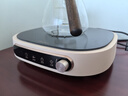 美的（Midea）电陶炉电磁炉煮茶器 养生煮茶炉 小型小功率家用宿舍烧水煮茶小米粥火锅炉 办公室围炉煮茶低辐射 22W3-003 【尺寸升级 轻音炖煮】 实拍图