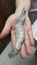 东上御品虾 青岛大虾基围虾鲜活青虾白虾海虾对虾冰虾冻虾生鲜 虾类 海鲜 3.6斤(净重)  盐冻大虾【单只冻】 17-21cm【特大虾皇】 实拍图