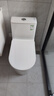 九牧（JOMOO） 11322-2-2/31KA-1抗菌一级水效大冲力马桶虹吸式加坐便器305坑距 实拍图