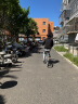 凤凰（PHOENIX）自行车男女老式成人青少年大中小学生代步普通勤城市上班公路单车 双培林单速【全套轴承】日式亮银 26寸 实拍图