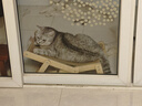 喵仙儿猫抓板猫窝剑麻不掉屑猫躺椅实木猫床耐抓猫沙发四季通用猫爬架 实拍图