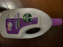 滴露（Dettol）衣物消毒液 薰衣草3L 99.9%杀菌除螨内衣儿童衣物除菌液配洗衣液 实拍图