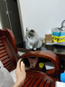 牧灵CFA赛级逗猫棒猫咪玩具自嗨解闷逗猫棒羽毛铃铛替换头小宠物用品 CFA赛级逗猫棒+橘色+彩色羽毛 实拍图