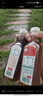 农夫山泉【重磅新品】东方树叶 陈皮白茶500ml*15瓶 无糖茶饮料 实拍图