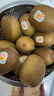 佳沛（zespri）新西兰 新果季 阳光金奇异果33粒原箱单果重约101-114g 猕猴桃 实拍图