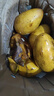 柏馋海南小台农芒果新鲜现摘小台芒应当季热带水果南方特产甜心熟芒果 3斤 净重2.5-2.8斤 小果单果50-70g 实拍图