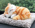 亦趣仿真猫玩偶会叫小猫咪毛绒玩具摆件可爱猫咪公仔儿童生日礼物 会叫橘花猫咪+毛绒垫子 实拍图