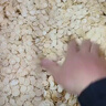 福东海 西洋参片礼盒160克 吉林参茶花旗参 人参皂苷含片送父母长辈领导 实拍图
