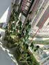 原起点进口椰砖种菜种花椰土壤无菌低盐营养土大块乌龟冬眠椰糠砖种植土 【这个巨划算】免洗椰砖5块 实拍图