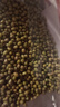 十月稻田 绿豆 2斤 (可发豆芽 打豆浆 东北 五谷 杂粮 粗粮 真空大米伴侣) 实拍图
