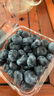 京地达蓝莓丹东新鲜花香蓝莓水果年货单果18mm+净含量120g*4盒源头直发 实拍图