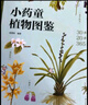 给孩子的神奇植物课（套装共2册） 【3-6岁】狐狸家著 实拍图