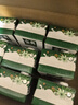 伊利金典高钙低脂纯牛奶整箱 250ml*12盒（新老包装随机）礼盒装 实拍图