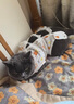 华元宠具（hoopet）猫咪绝育服宠物母猫小狗狗幼猫手术服透气断奶服公猫防舔术后衣服 实拍图