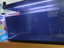 当贝智能生态鱼缸1Ultra 一体缸自循环双过滤AI托养懒人家用桌面鱼缸 实拍图