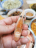 美加佳大号头籽北极甜虾净重3斤 80/100规格 头籽率80% 熟冻甜虾 实拍图